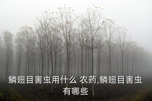 水稻稻癭蚊打什么農(nóng)藥