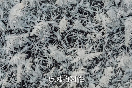 防風(fēng)的習(xí)性