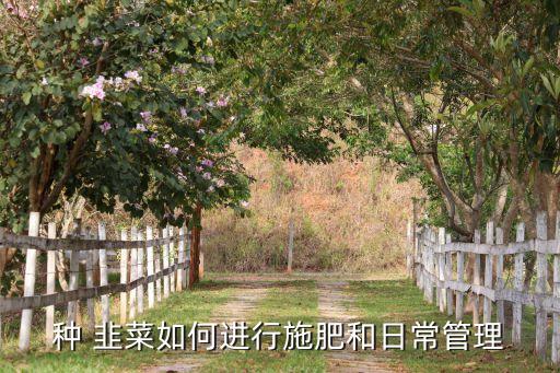 種 韭菜如何進行施肥和日常管理