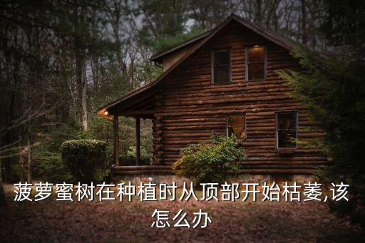 波羅蜜用什么農(nóng)藥消毒,用什么農(nóng)藥給土壤消毒