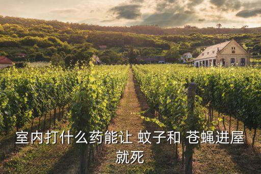 室內打什么藥能讓 蚊子和 蒼蠅進屋就死