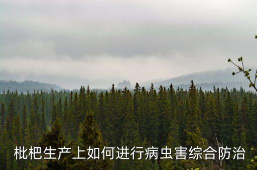 采摘枇杷用什么農(nóng)藥,枇杷結(jié)果后打什么農(nóng)藥