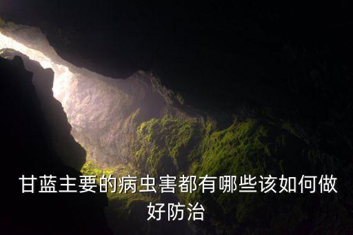 種甘藍(lán)需要什么農(nóng)藥,甘藍(lán)什么時(shí)間種最好