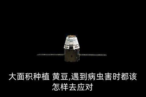 大面積種植 黃豆,遇到病蟲害時都該怎樣去應對