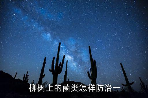 柳樹干腐病用什么農藥,冠腐病用什么農藥