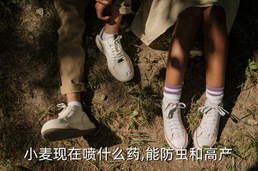 小麥現(xiàn)在噴什么藥,能防蟲和高產(chǎn)