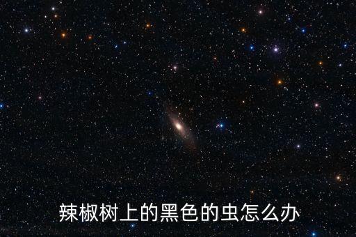 辣椒樹長蟲用什么農藥,土里長蟲用什么農藥