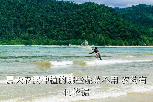 什么菜不怎么需要打農藥