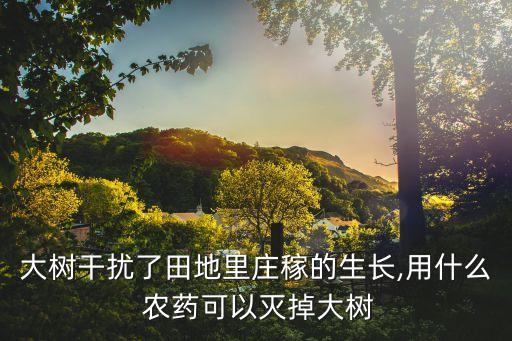 小樹用什么農藥殺菌生根