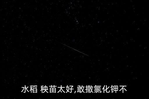 水秧苗用什么農(nóng)藥,秧苗期間噴什么農(nóng)藥好