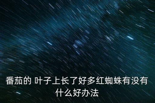 番茄的 葉子上長了好多紅蜘蛛有沒有什么好辦法