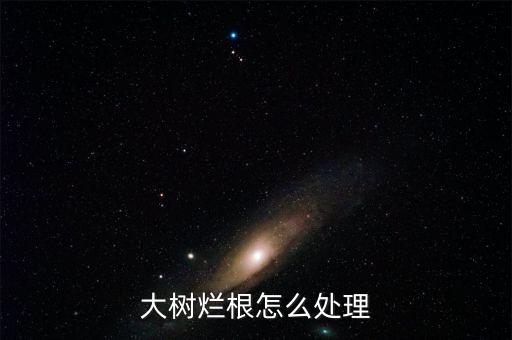 大樹爛根怎么處理