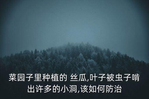 菱角絲瓜要噴什么農藥,帶菱角的絲瓜叫什么