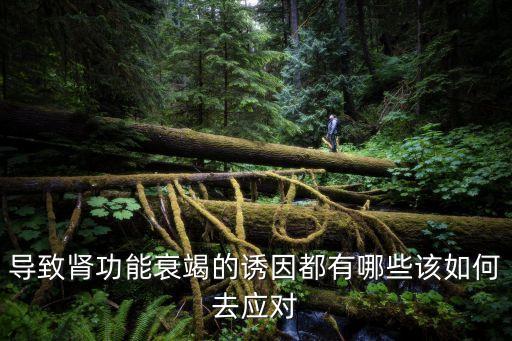 導(dǎo)致腎功能衰竭的誘因都有哪些該如何去應(yīng)對