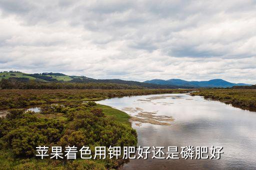  蘋果著色用鉀肥好還是磷肥好