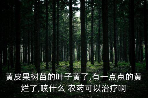 秧苗發黃用什么農藥才好,秧苗打什么農藥