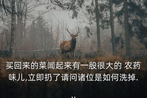 買回來的菜聞起來有一股很大的 農藥味兒,立即扔了請問諸位是如何洗掉...
