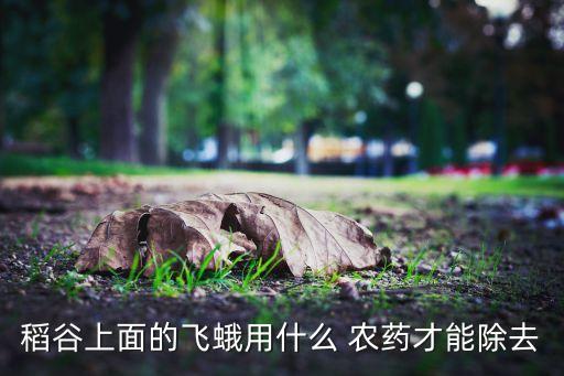 稻谷上面的飛蛾用什么 農(nóng)藥才能除去
