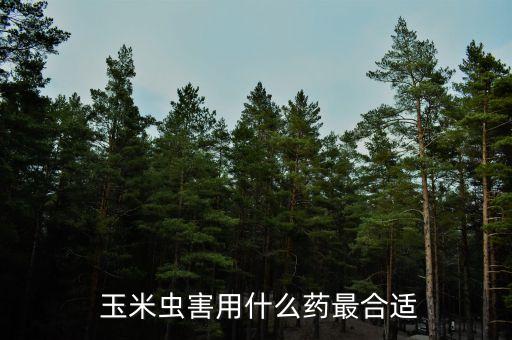  玉米蟲害用什么藥最合適