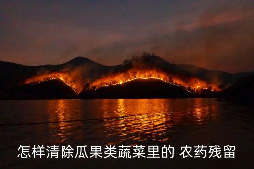 怎樣清除瓜果類蔬菜里的 農(nóng)藥殘留