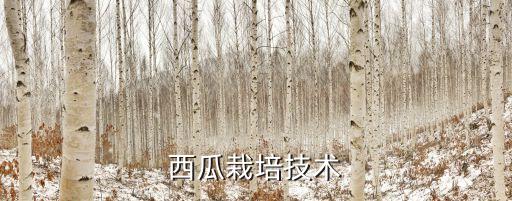 西瓜果腐病打什么農藥