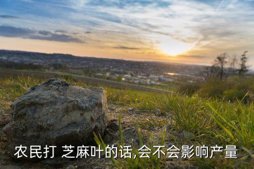 ,芝麻葉為什么要打農藥