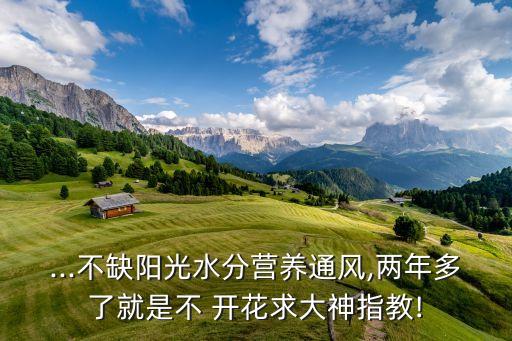 ...不缺陽光水分營養通風,兩年多了就是不 開花求大神指教!