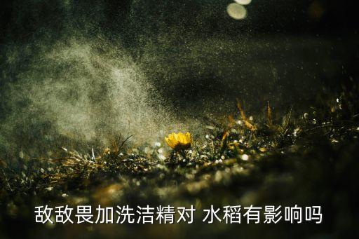 什么農藥能要死水稻,水稻農藥什么時間打效果最好