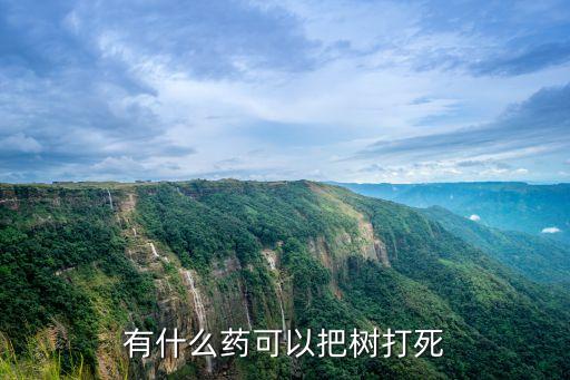 有什么藥可以把樹(shù)打死
