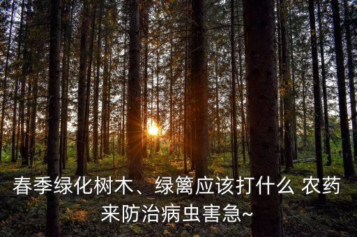 田邊的樹用什么農(nóng)藥,田邊種什么樹好