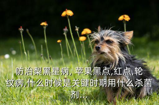 防治梨黑星病, 蘋果黑點,紅點,輪紋病,什么時候是關鍵時期用什么殺菌劑...