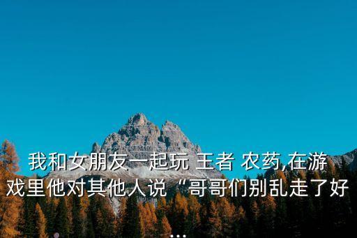 王者農藥配什么小說,歡迎來到王者農藥小說