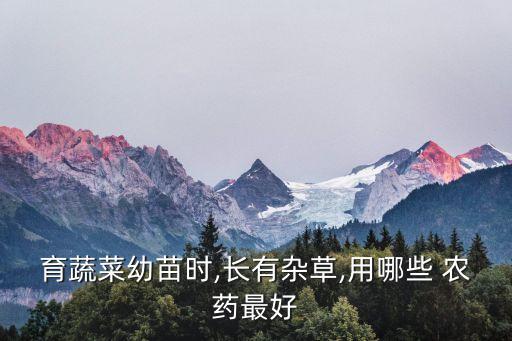 家庭菜地噴什么農藥,故意把農藥噴在別人菜地里