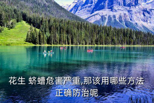 殺蠐螬蟲用什么農藥最好,1605農藥殺什么蟲