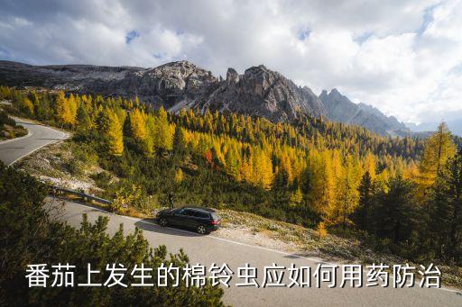 番茄上發生的棉鈴蟲應如何用藥防治