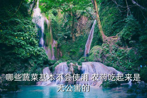 哪些蔬菜基本不會(huì)使用 農(nóng)藥吃起來是無公害的