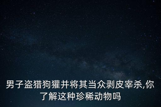 男子盜獵狗獾并將其當眾剝皮宰殺,你了解這種珍稀動物嗎