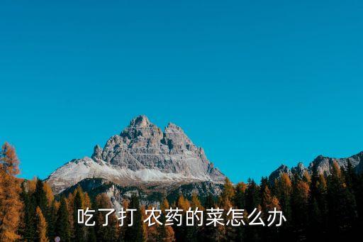 吃了打 農藥的菜怎么辦
