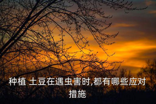 種植 土豆在遇蟲害時,都有哪些應對措施