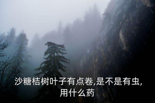 沙糖桔樹葉子有點(diǎn)卷,是不是有蟲,用什么藥