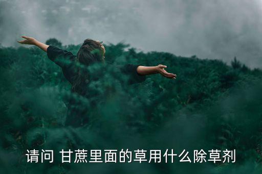 甘蔗下什么農(nóng)藥藥,甘蔗葉斑病用什么藥