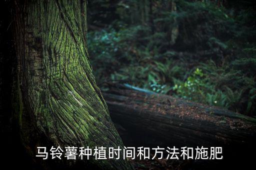 馬鈴薯種植時間和方法和施肥