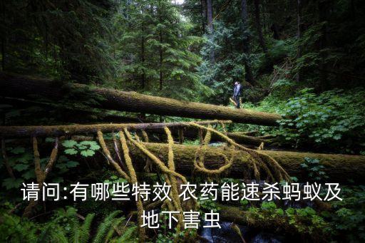 農(nóng)藥加什么殺病最快,菜蟲用什么農(nóng)藥殺比較好?