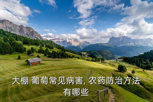 大棚 葡萄常見病害, 農藥防治方法有哪些