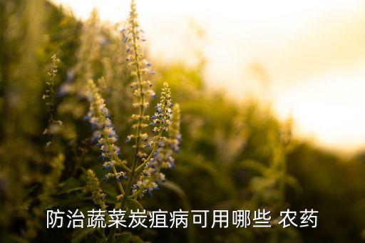菜有病用什么農藥最好,西紅柿有病用什么農藥