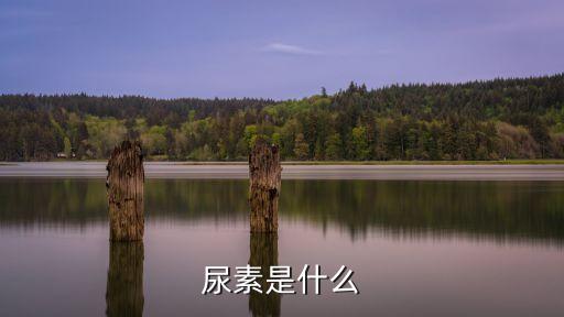 威海什么是農藥中間體,生產農藥中間體需要什么許可