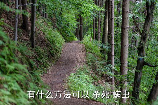 有什么方法可以 殺死 螨蟲