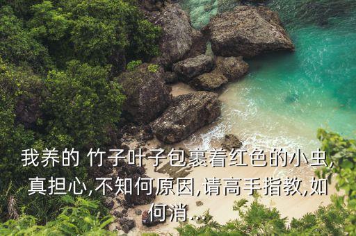 吃竹子蟲用什么農(nóng)藥,竹子蟲吃了有什么好處