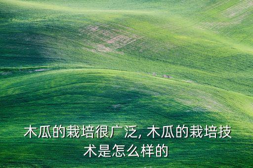 木瓜什么時候施農藥,蔬菜施農藥什么時候合適