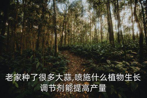 種蒜用的是什么農(nóng)藥,666粉是什么農(nóng)藥